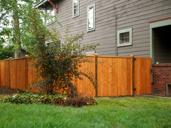 Cedar Wood Fence